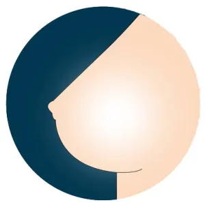 6YE  Breast Option - Hollow Breasts