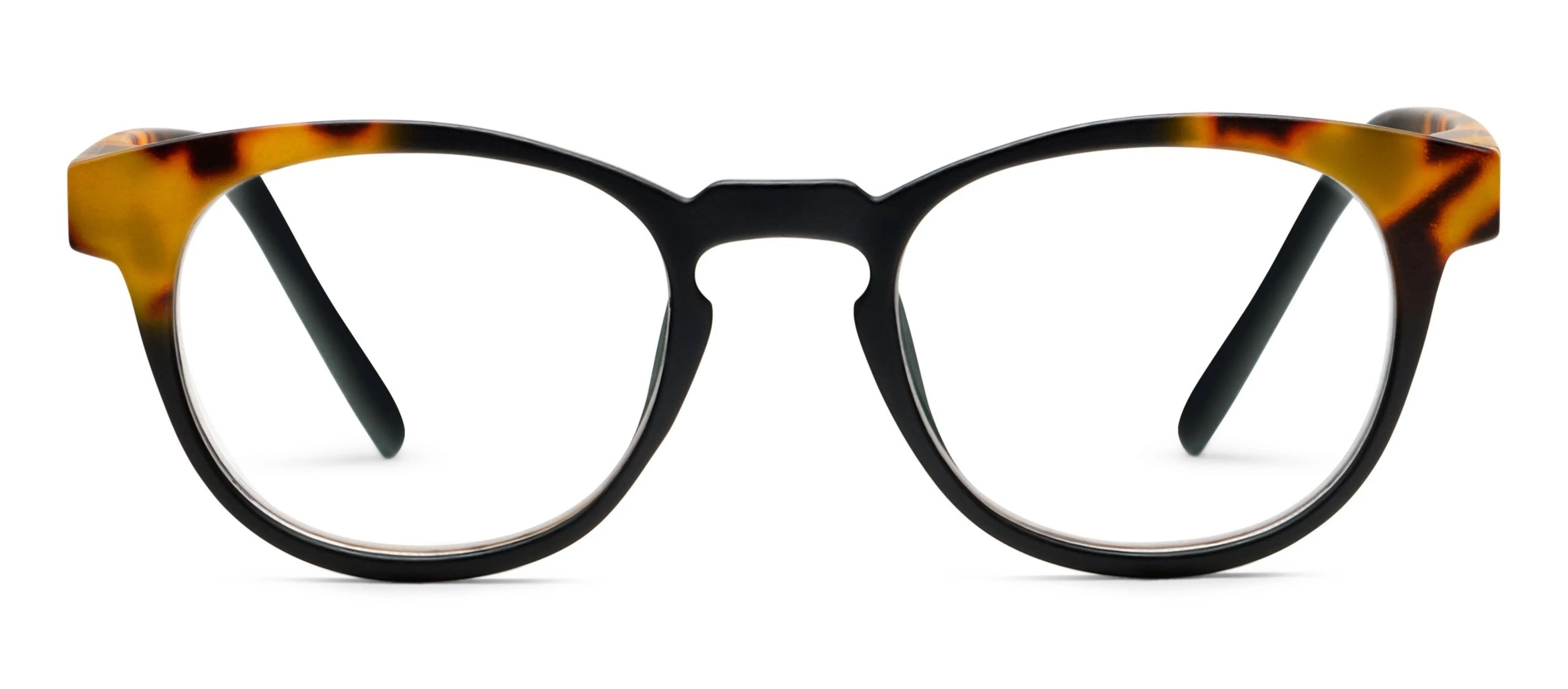 Chester (Blue Light): Black/Tokyo Tortoise / Reading / 1.50