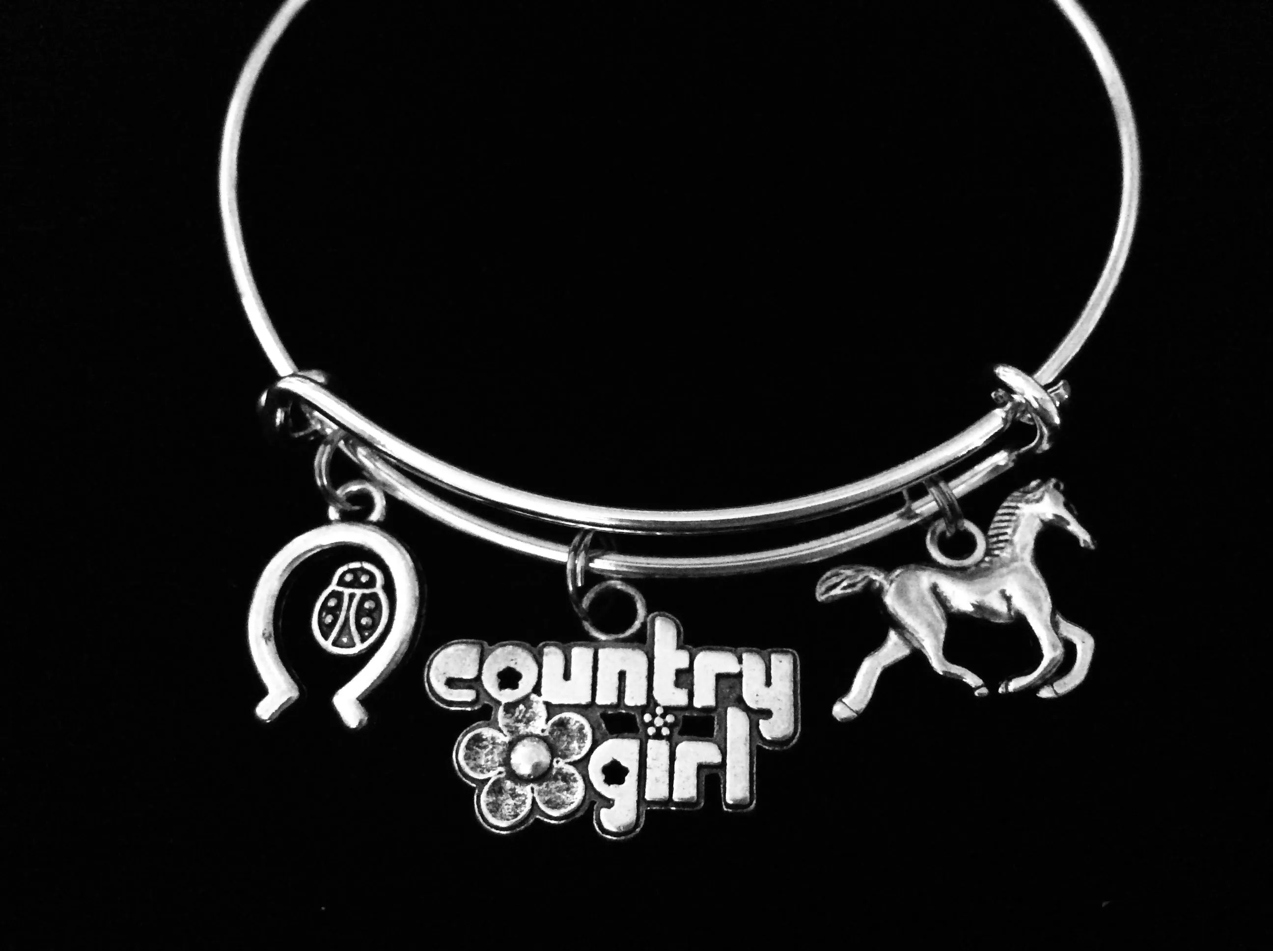 Country Girl Charm Bracelet Adjustable Expandable Silver Bangle Horse Horseshoe Ladybug One Size Fits All Gift
