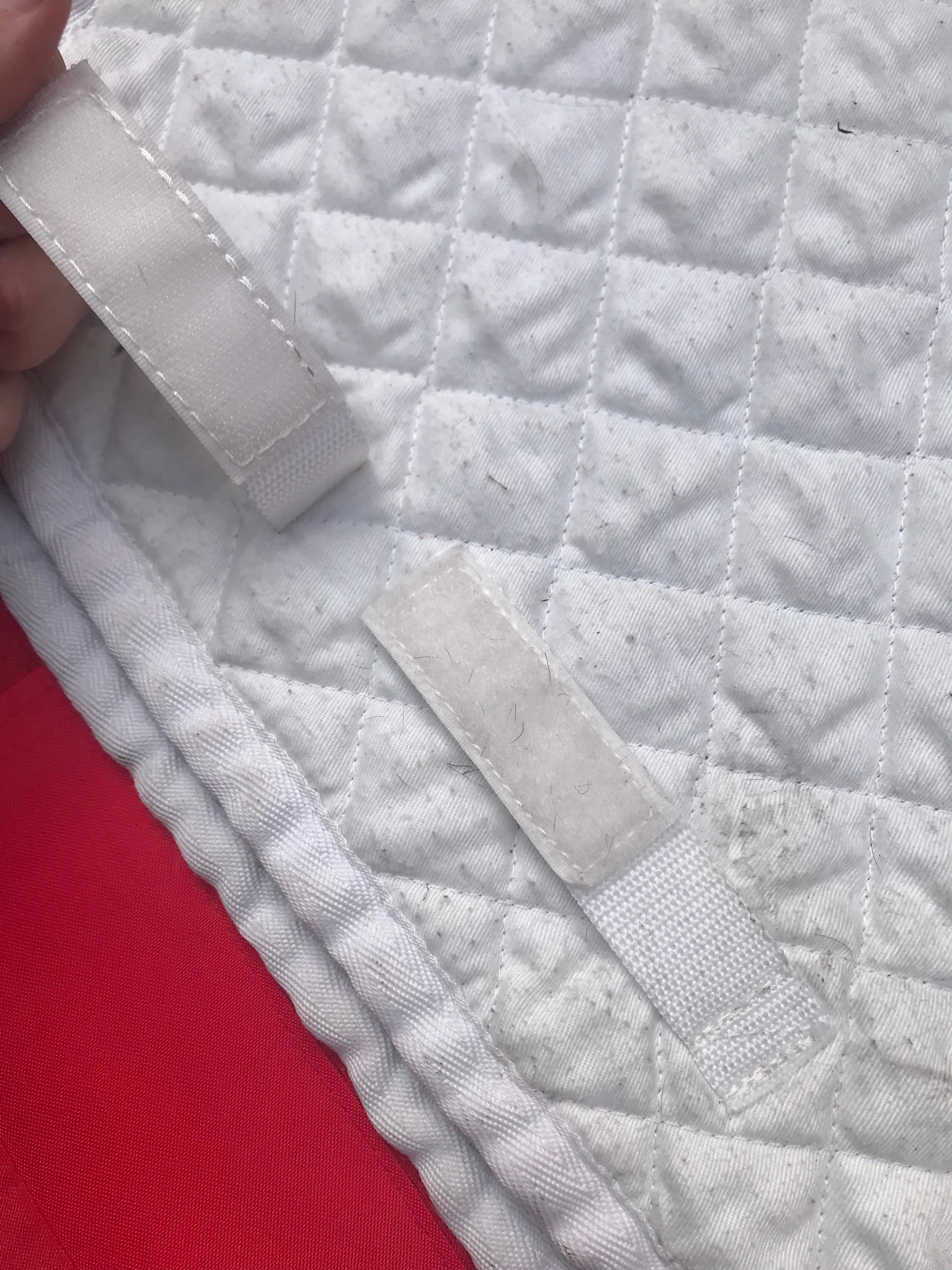 equilibrium white cob size saddle cloth FREE POSTAGE