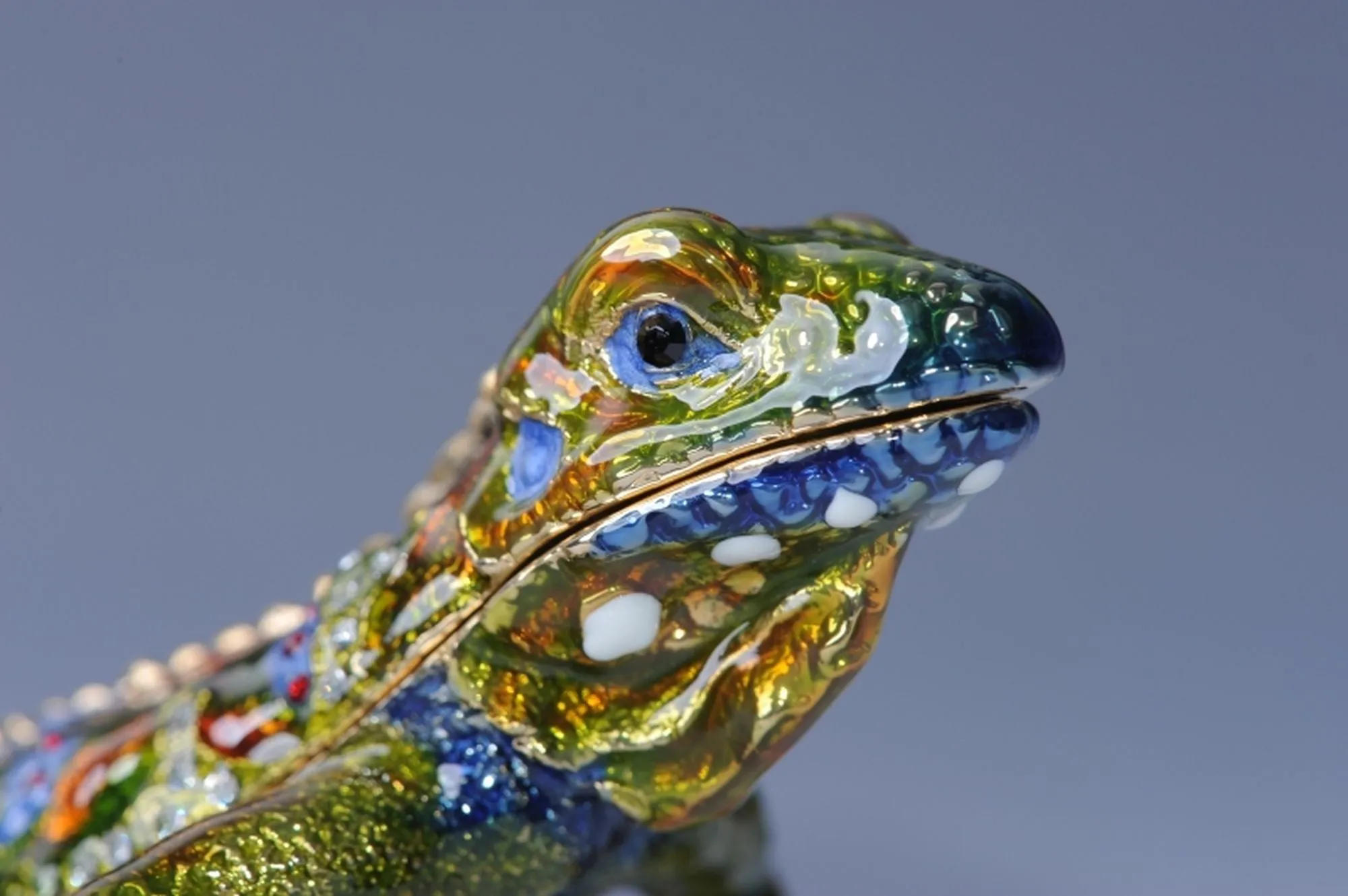 Green Iguana