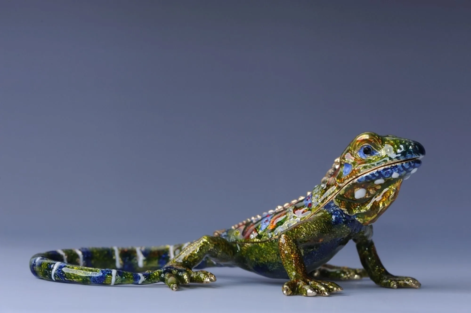Green Iguana
