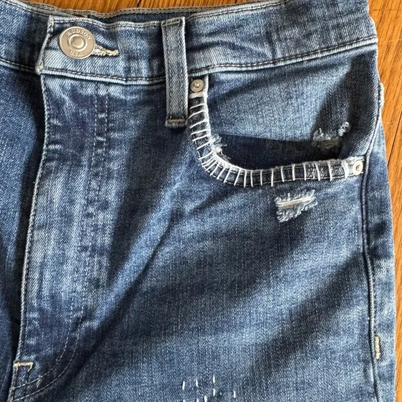 Hudson embroidered skinny jeans
