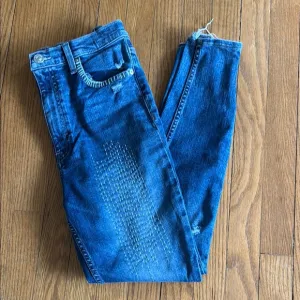 Hudson embroidered skinny jeans