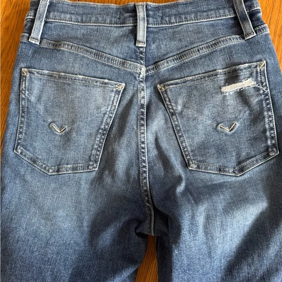 Hudson embroidered skinny jeans