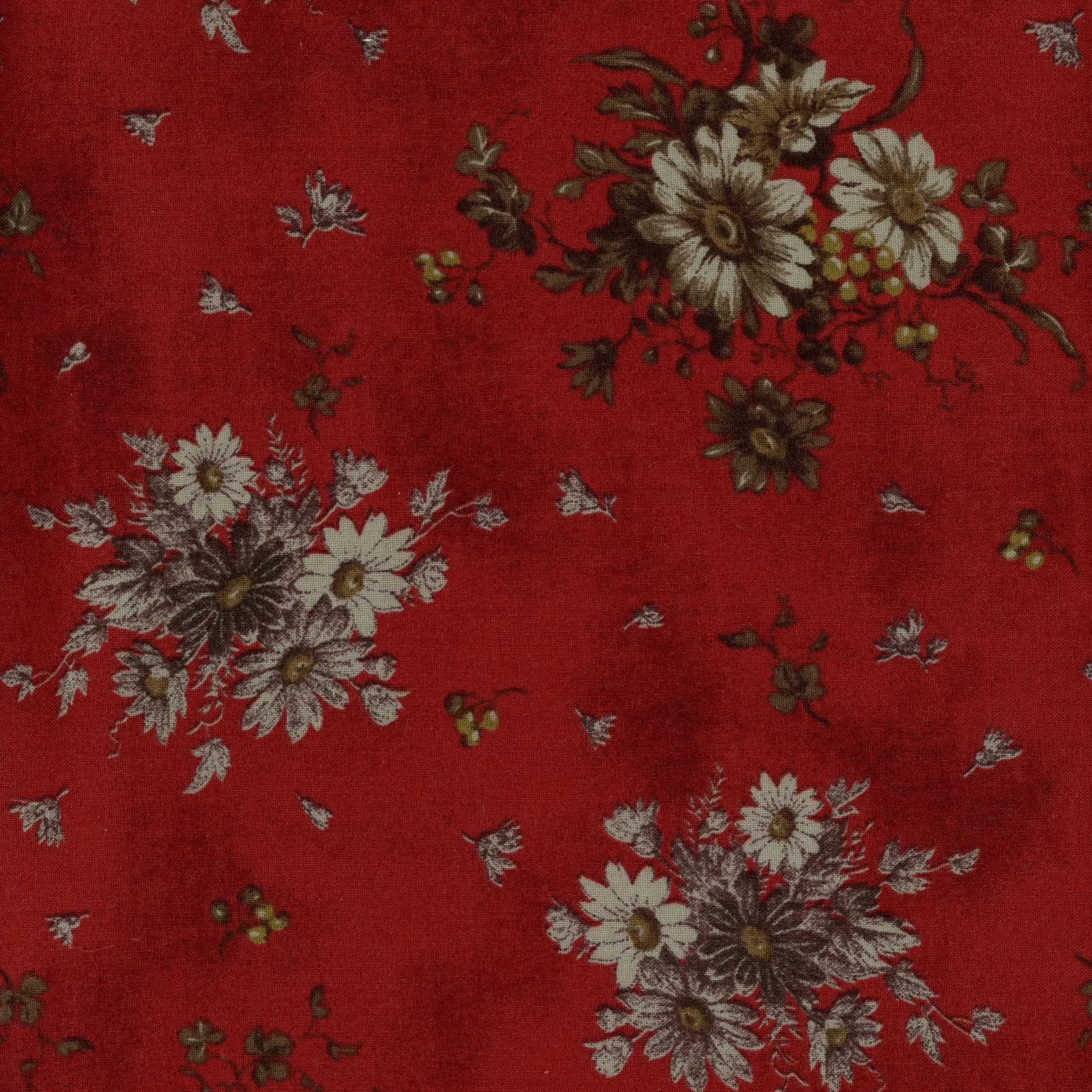 Kinkame European Taupe XI Dark Red