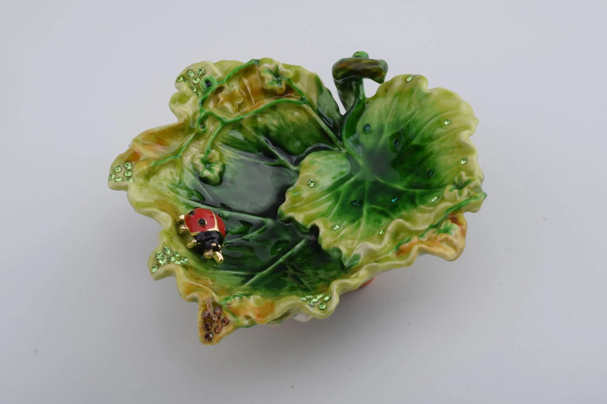 Lettuce with a Red Ladybug