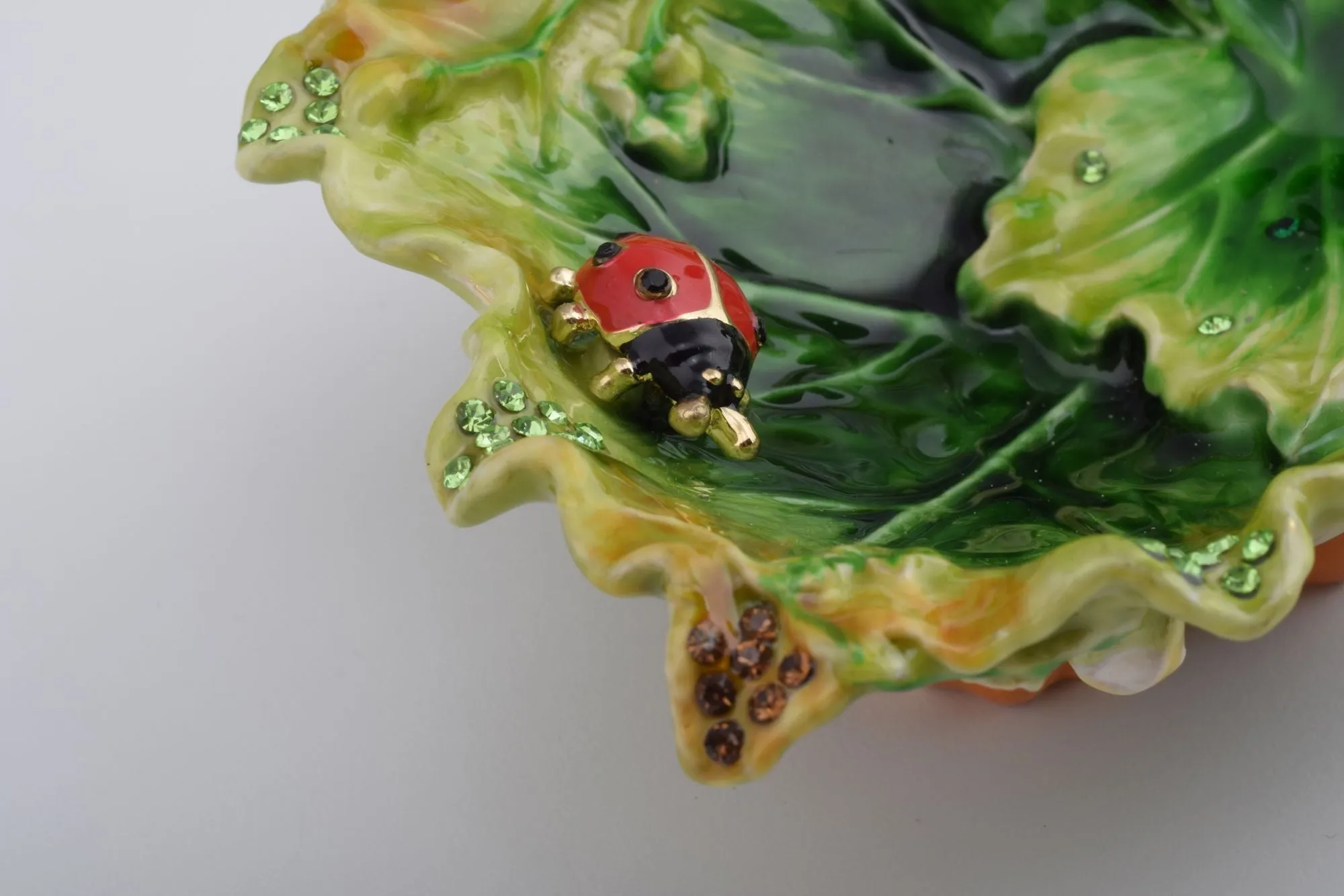 Lettuce with a Red Ladybug