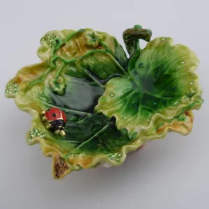 Lettuce with a Red Ladybug
