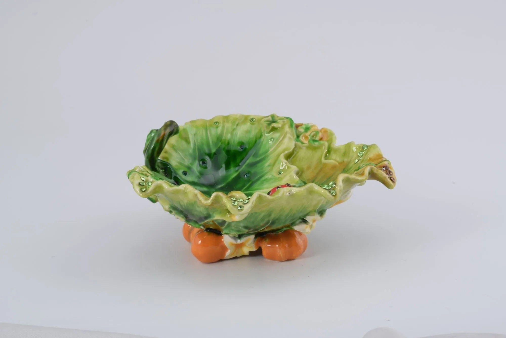 Lettuce with a Red Ladybug