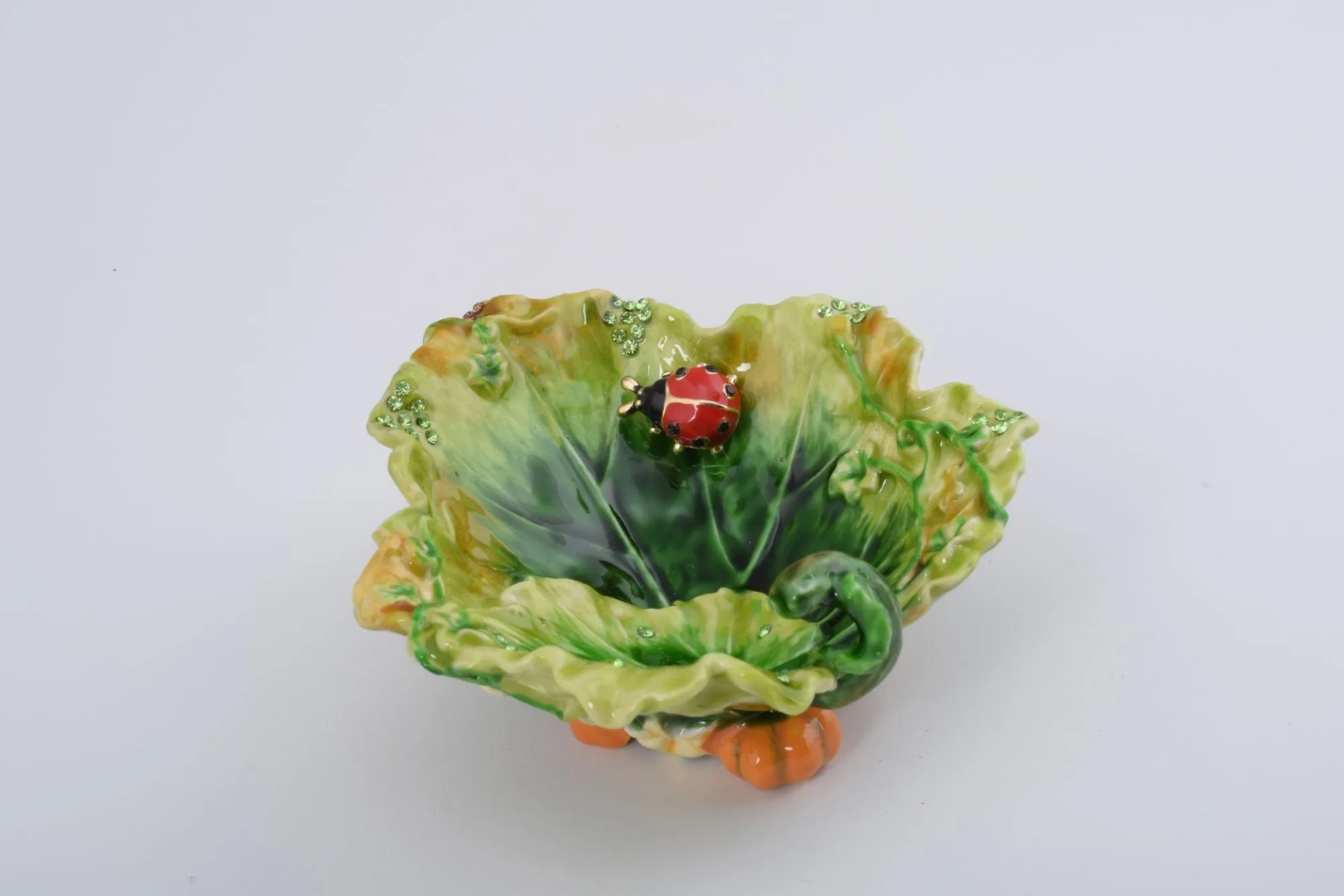 Lettuce with a Red Ladybug