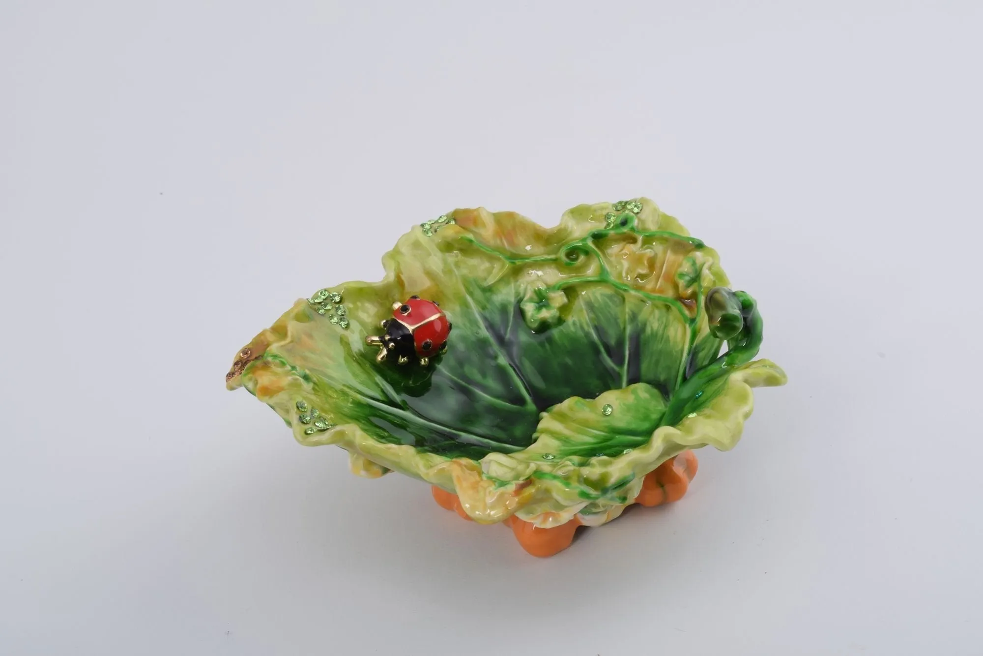 Lettuce with a Red Ladybug