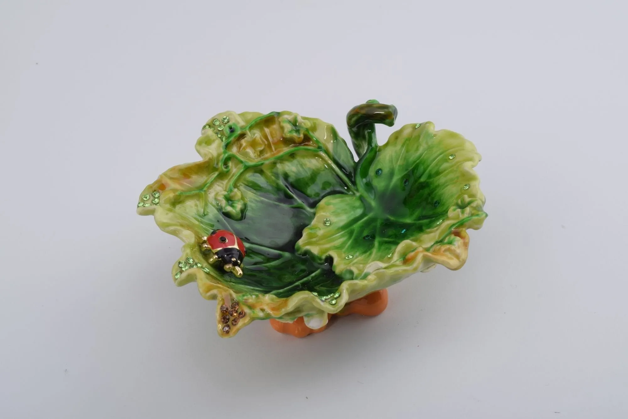 Lettuce with a Red Ladybug