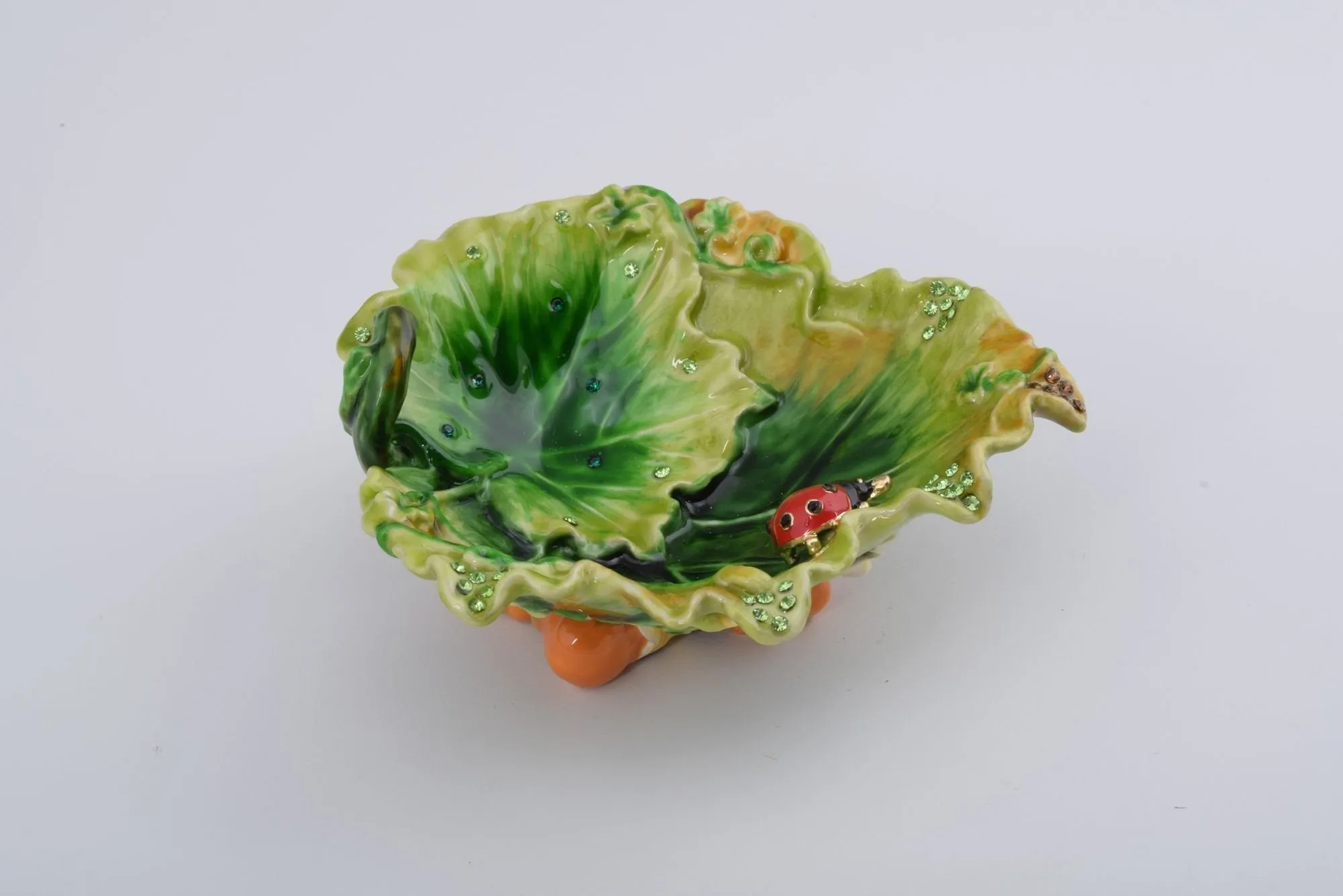 Lettuce with a Red Ladybug