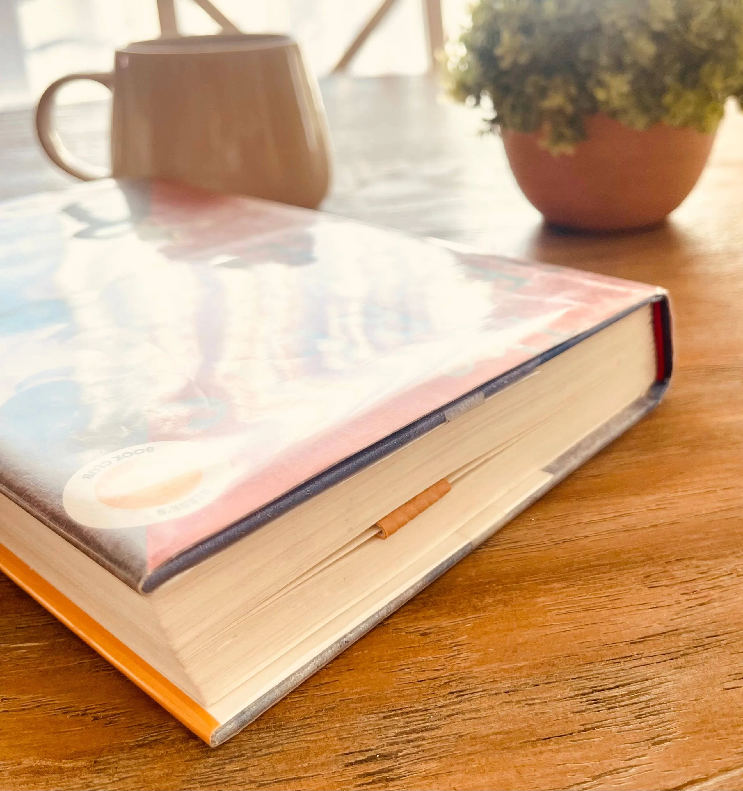 Magnetic Bookmark Pair