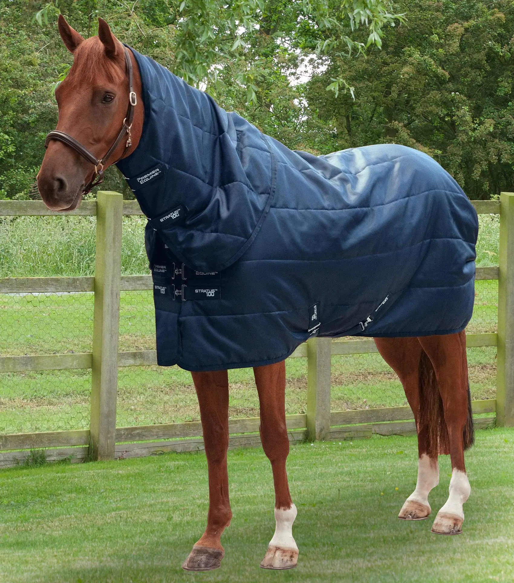 MARKED - Stratus Stable Rug 100g with Neck Cover Navy