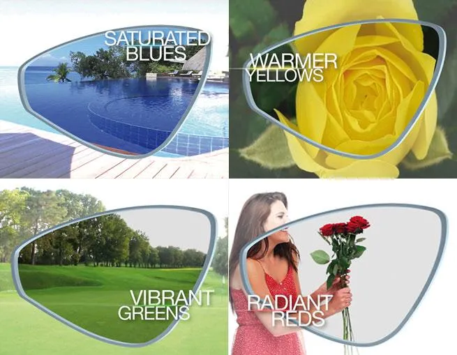 Polaryte HD Sunglasses