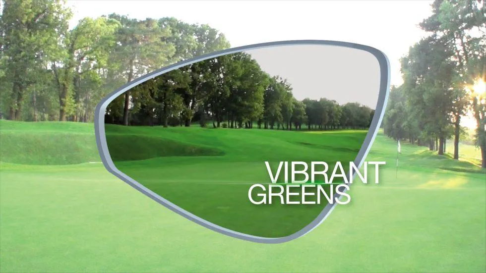 Polaryte HD Sunglasses