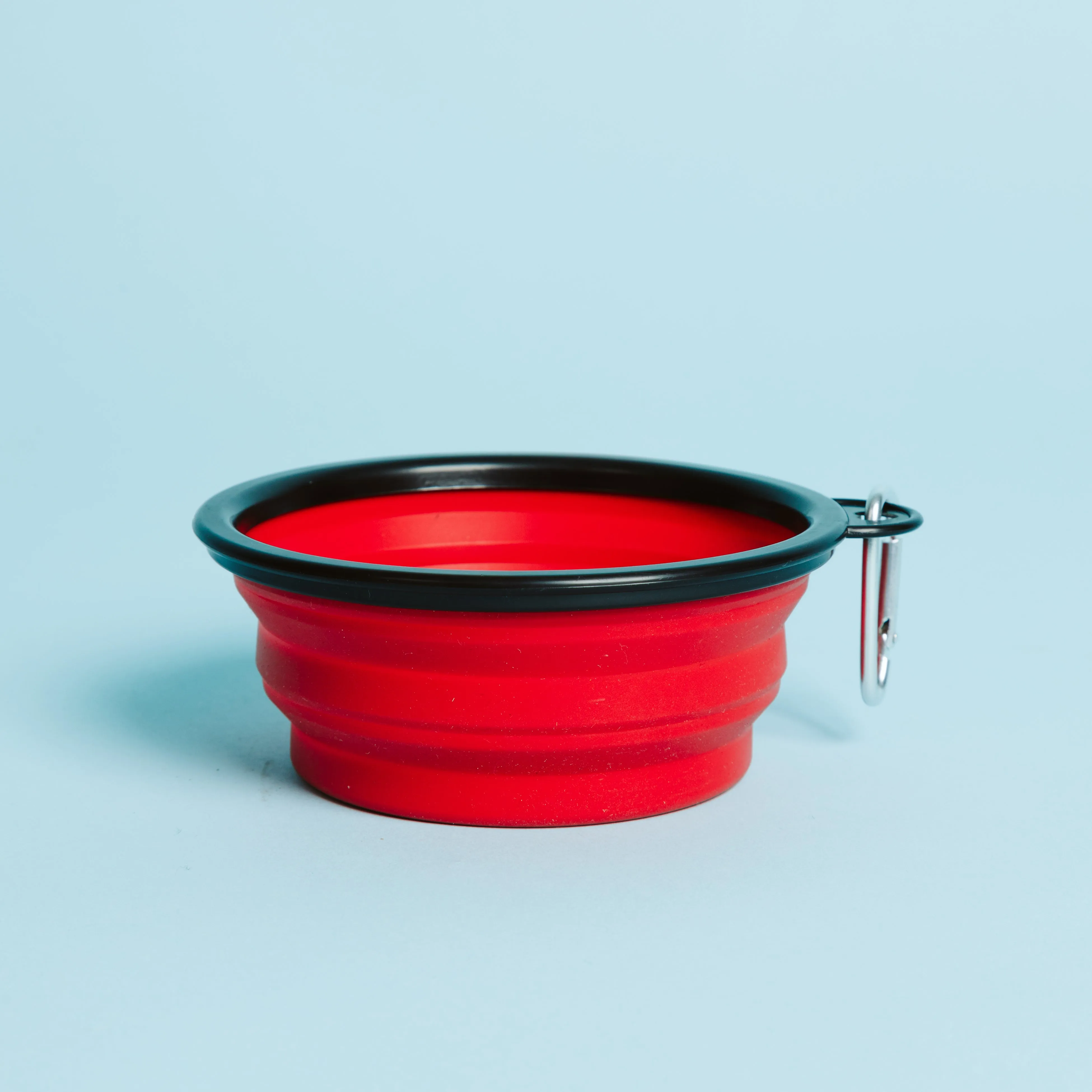 Red Dog Bowl