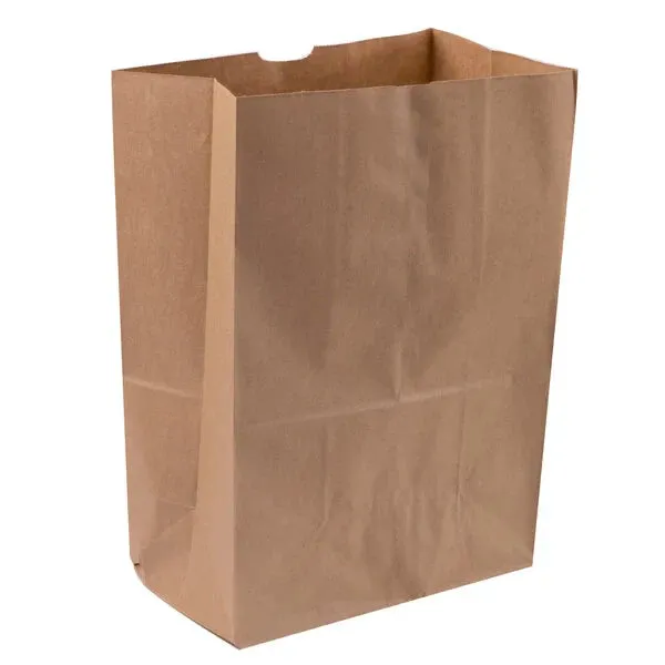 RiteEarth - 1/6 Kraft Plain Paper Barrel Bag, Pack of 400 - PB665K