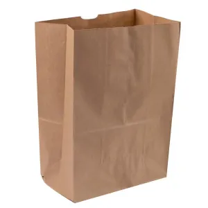 RiteEarth - 1/6 Kraft Plain Paper Barrel Bag, Pack of 400 - PB665K