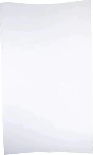 RiteSource - 6 lb, 5 x 3 x 15" White Poly Bags, 500/bx - 0306505