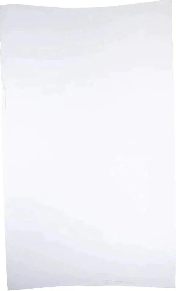 RiteSource - 6 lb, 5 x 3 x 15" White Poly Bags, 500/bx - 0306505