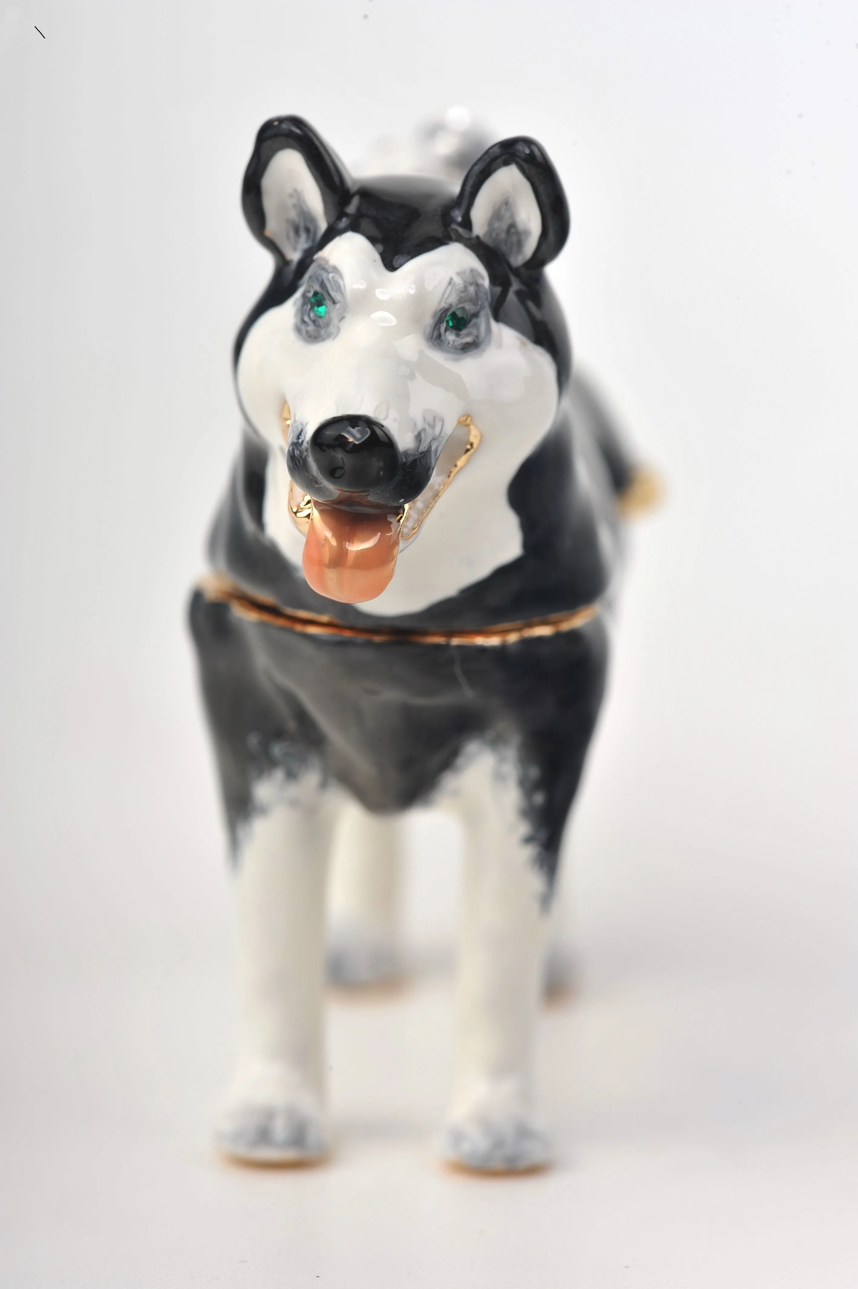 Siberian Husky Dog