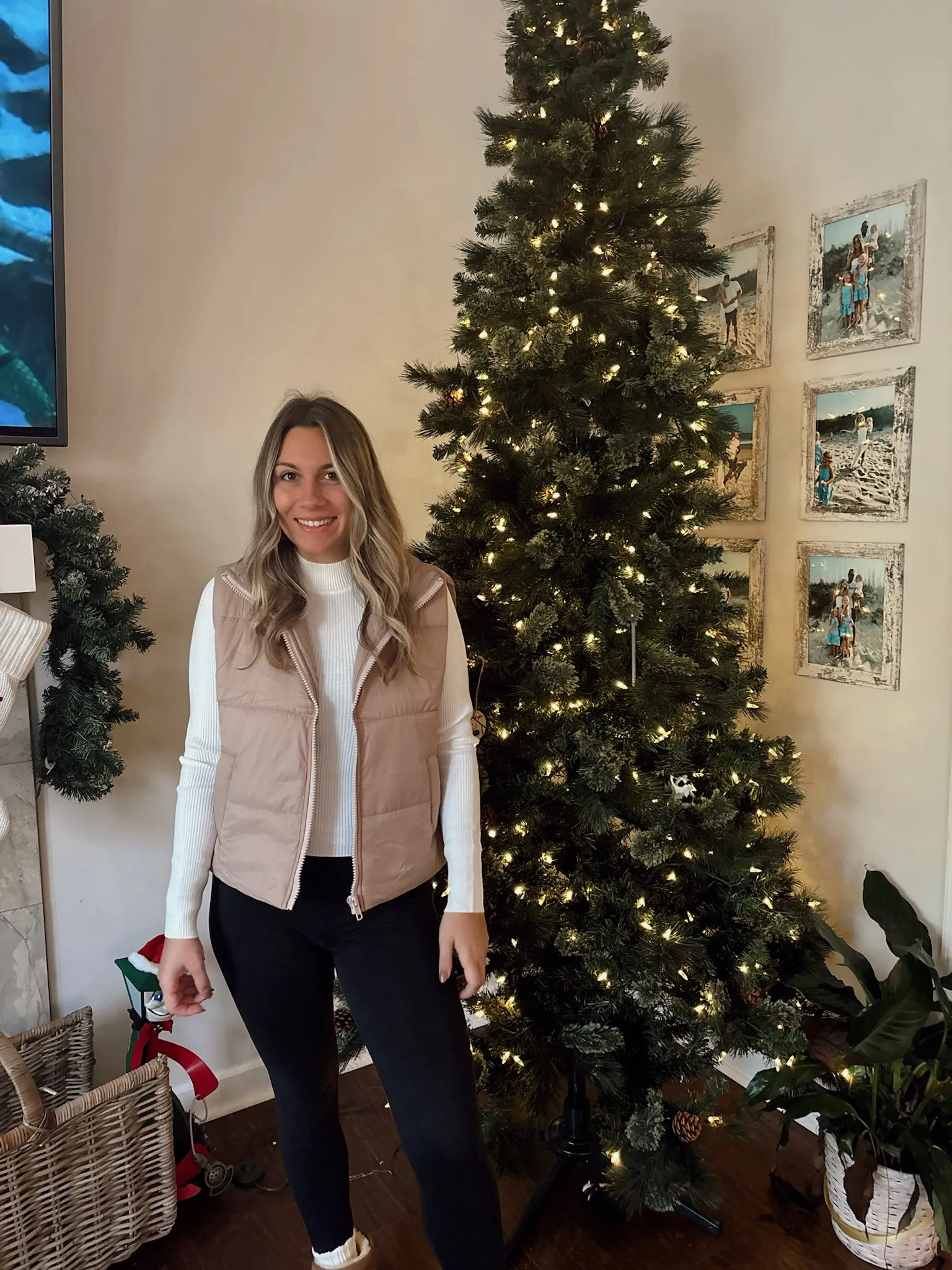 Teddy Taupe Puffer Vest
