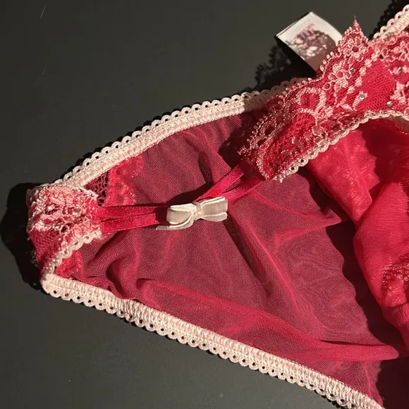 Victoria’s Secret pink princess panties Rare and Vintage