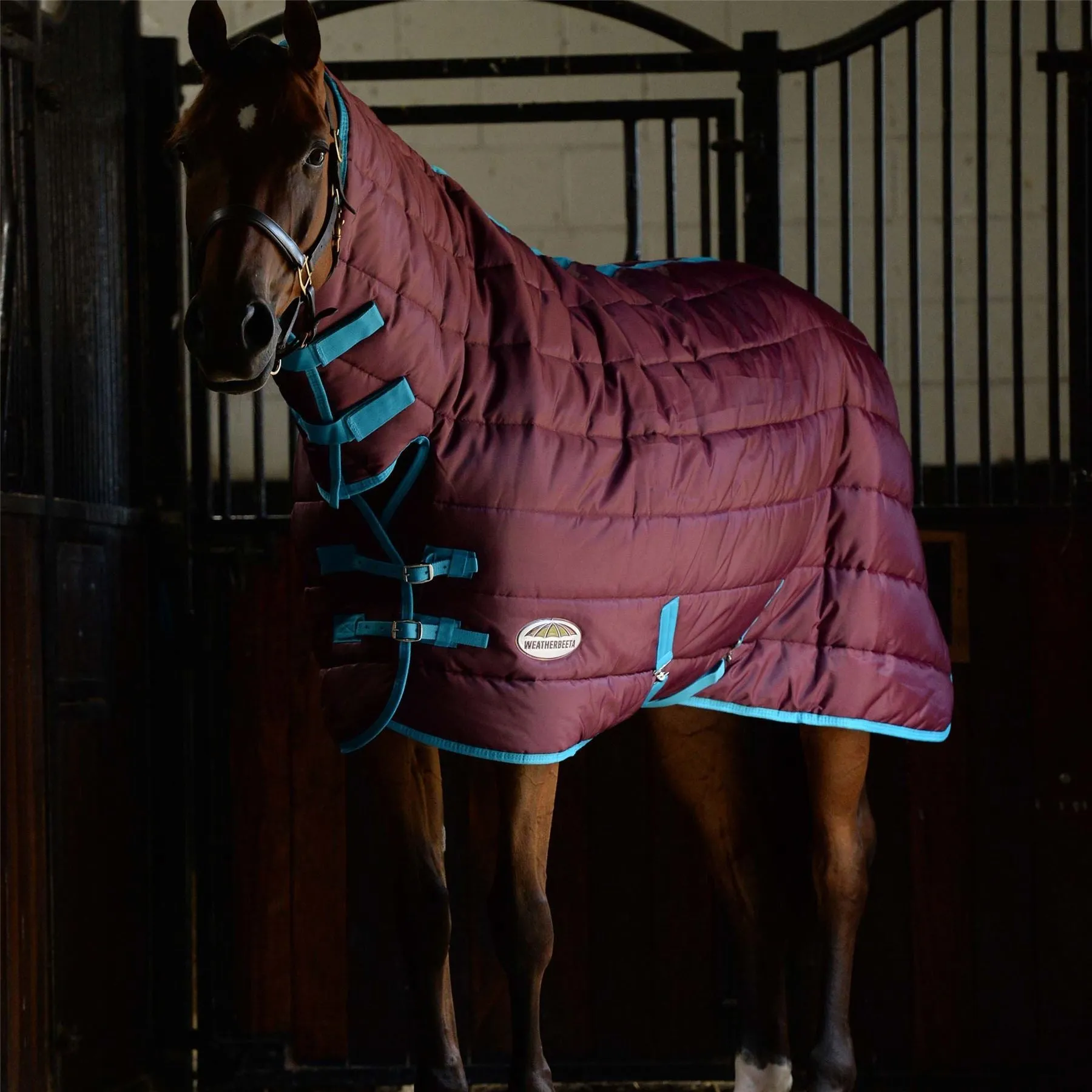 Weatherbeeta Comfitec 210D Channel Quilt Combo Neck Medium