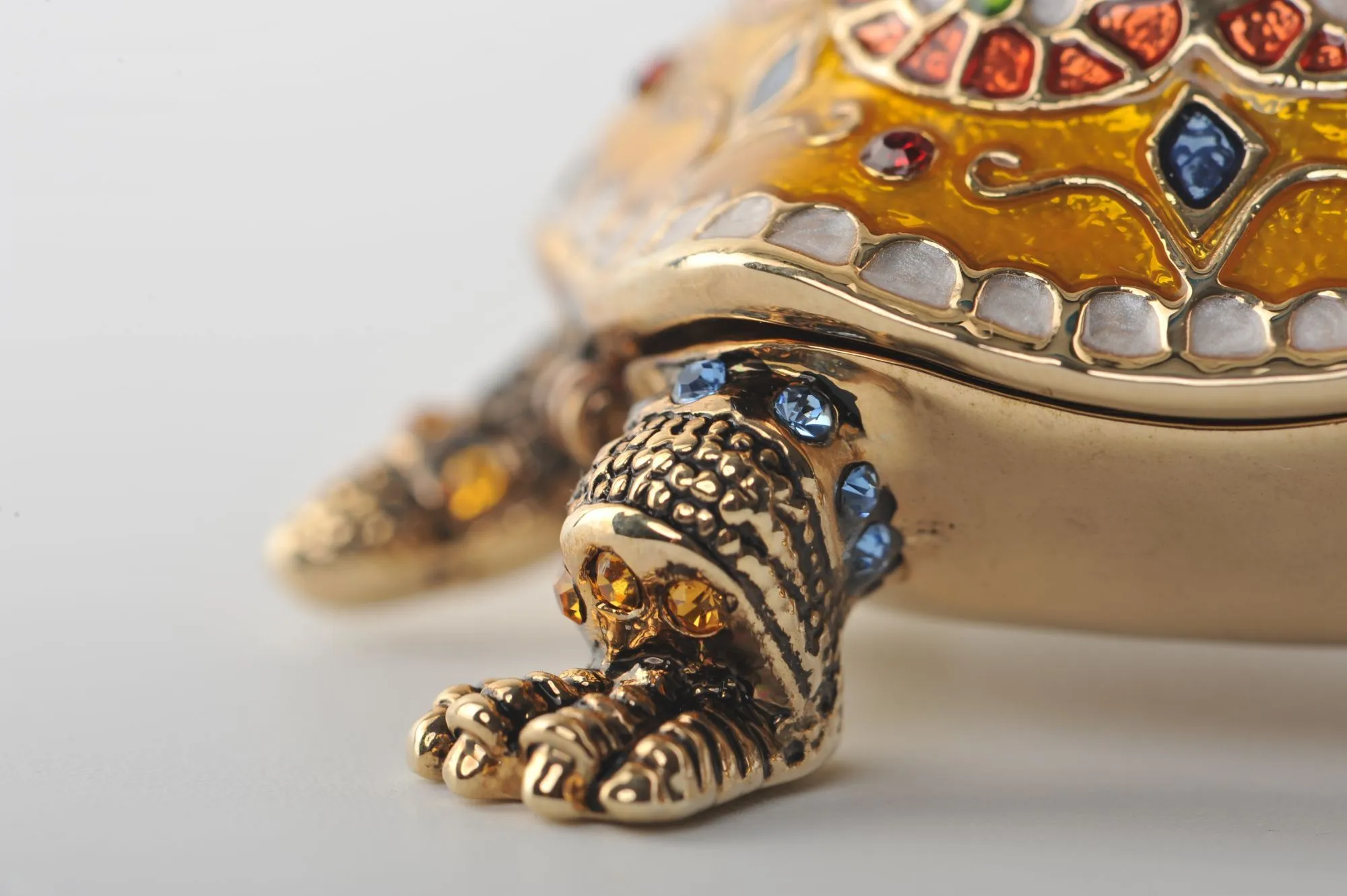 Yellow Sea Turtle